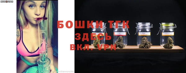 прущие грибы Баксан