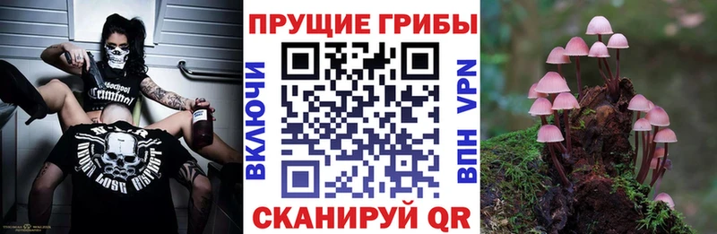 как найти закладки  Нижнеудинск  Псилоцибиновые грибы ЛСД 